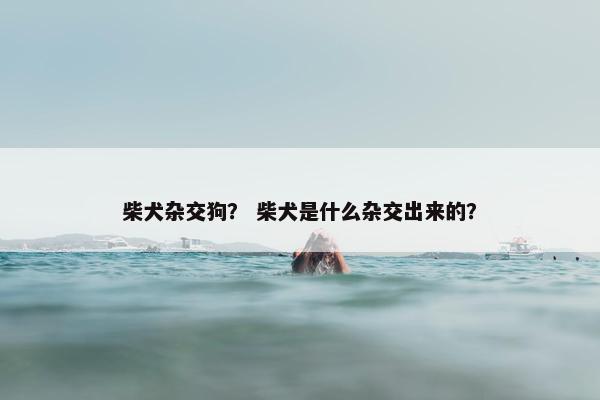柴犬杂交狗? 柴犬是什么杂交出来的?
