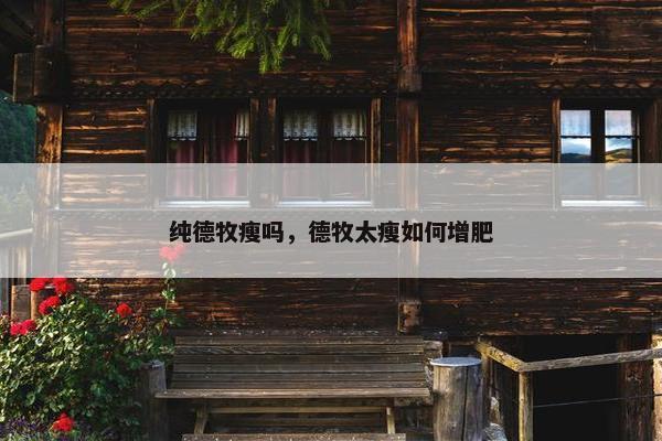 纯德牧瘦吗，德牧太瘦如何增肥