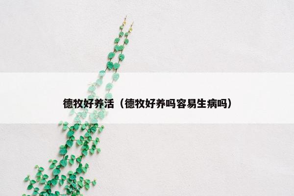 德牧好养活（德牧好养吗容易生病吗）