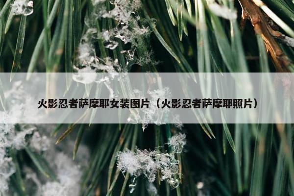 火影忍者萨摩耶女装图片（火影忍者萨摩耶照片）