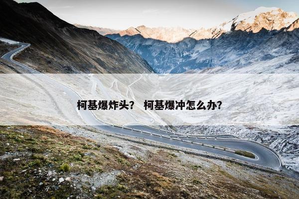 柯基爆炸头? 柯基爆冲怎么办?