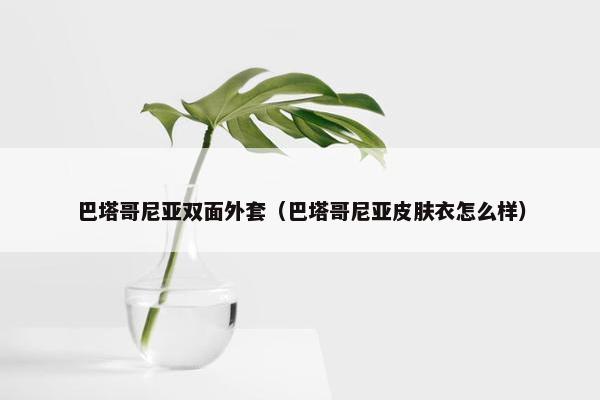 巴塔哥尼亚双面外套(巴塔哥尼亚皮肤衣怎么样)