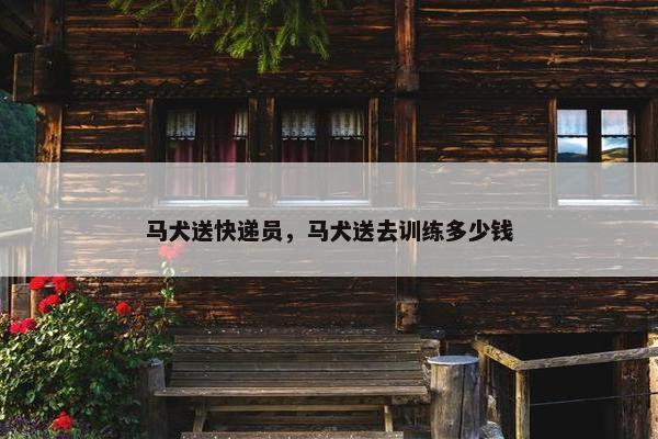 马犬送快递员,马犬送去训练多少钱