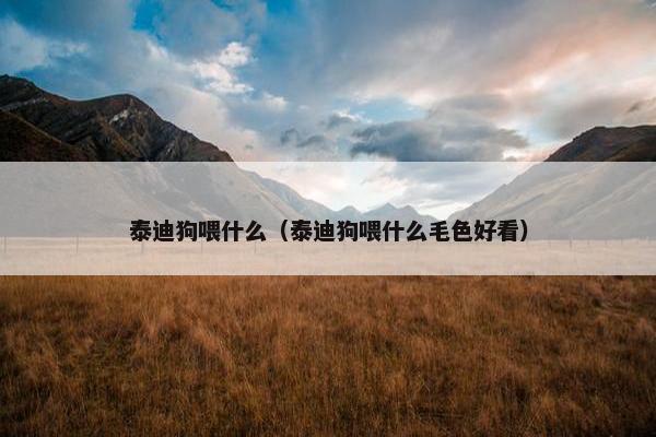 泰迪狗喂什么（泰迪狗喂什么毛色好看）