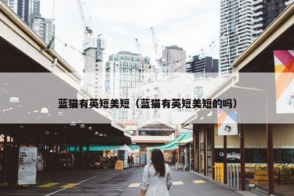 蓝猫有英短美短（蓝猫有英短美短的吗）