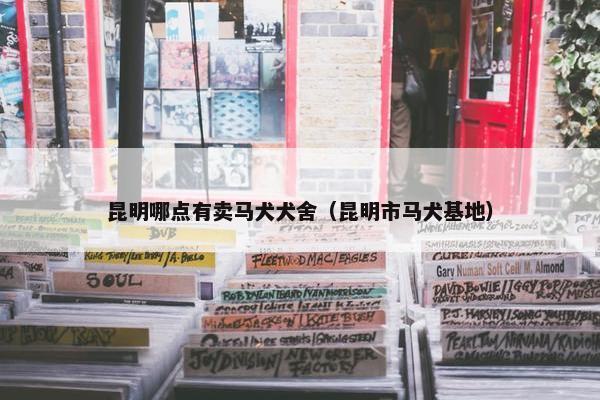 昆明哪点有卖马犬犬舍（昆明市马犬基地）