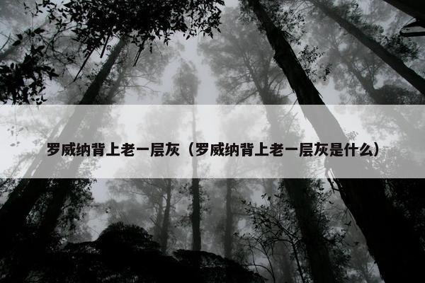 梦想启航 第83页