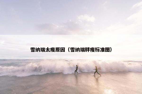 雪纳瑞太瘦原因（雪纳瑞胖瘦标准图）