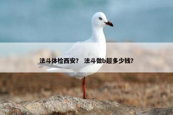 法斗体检西安？ 法斗做b超多少钱？