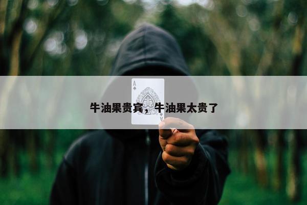 牛油果贵宾，牛油果太贵了