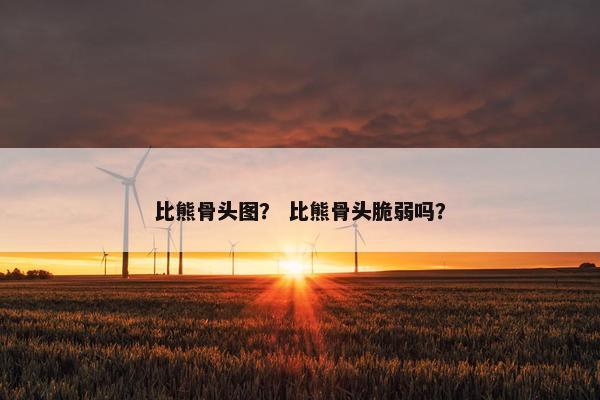 比熊骨头图？ 比熊骨头脆弱吗？