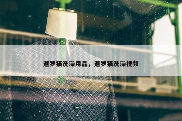 暹罗猫洗澡用品，暹罗猫洗澡视频