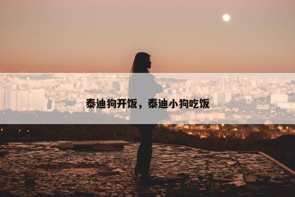 泰迪狗开饭，泰迪小狗吃饭