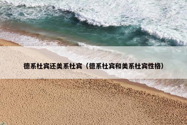 德系杜宾还美系杜宾（德系杜宾和美系杜宾性格）