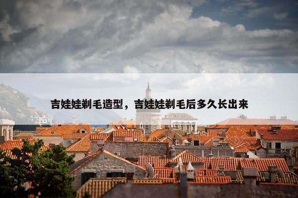 吉娃娃剃毛造型，吉娃娃剃毛后多久长出来