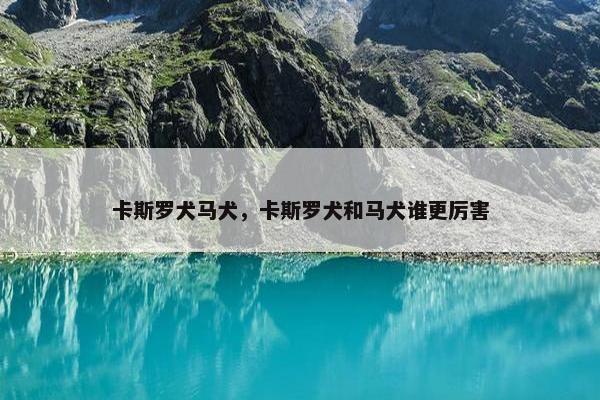 卡斯罗犬马犬,卡斯罗犬和马犬谁更厉害