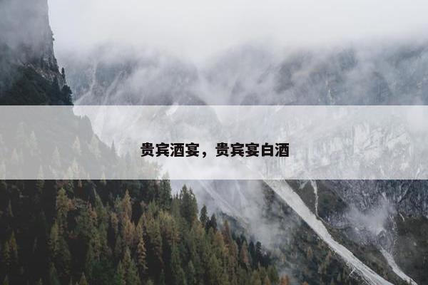 贵宾酒宴，贵宾宴白酒
