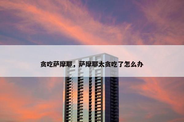贪吃