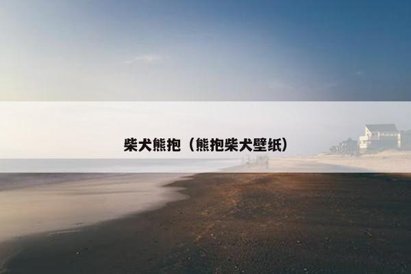 柴犬熊抱（熊抱柴犬壁纸）