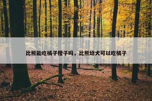 比熊能吃橘子橙子吗，比熊幼犬可以吃橘子