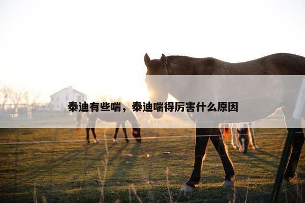 泰迪有些喘，泰迪喘得厉害什么原因