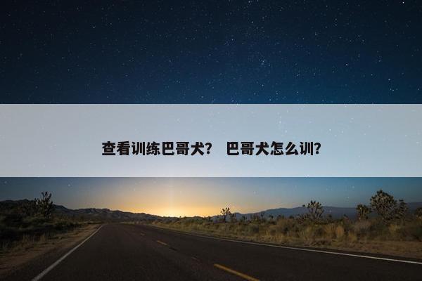 查看训练巴哥犬? 巴哥犬怎么训?