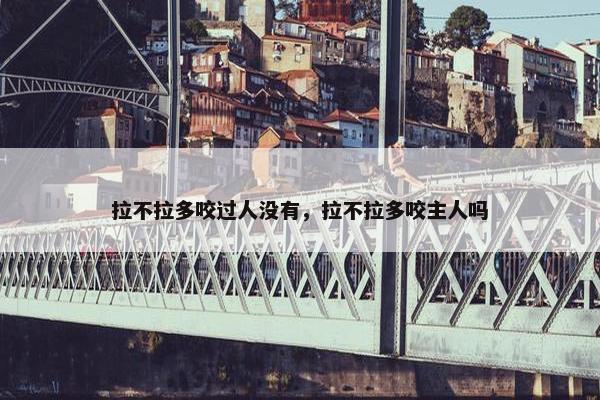 拉不拉多咬过人没有，拉不拉多咬主人吗