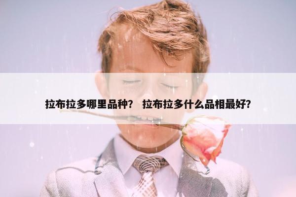 纽芬兰