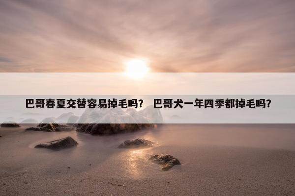 巴哥 第8页