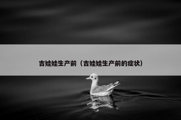吉娃娃生产前(吉娃娃生产前的症状)