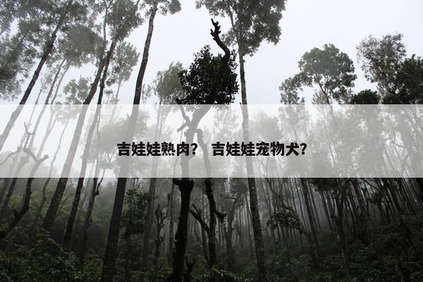 吉娃娃熟肉？ 吉娃娃宠物犬？