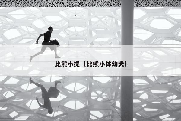 比熊小提（比熊小体幼犬）