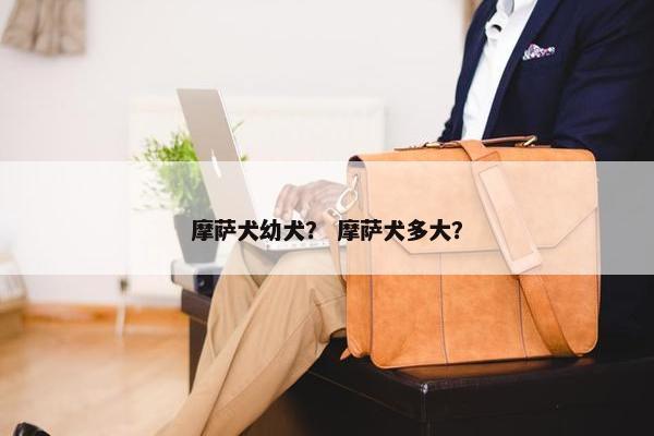 摩萨犬幼犬？ 摩萨犬多大？
