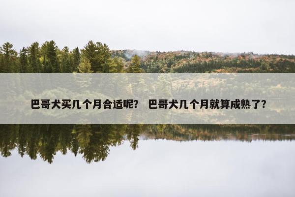 巴哥犬买几个月合适呢？ 巴哥犬几个月就算成熟了？