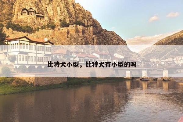 比特犬小型，比特犬有小型的吗