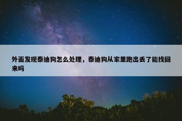 外面发现泰迪狗怎么处理，泰迪狗从家里跑出丢了能找回来吗