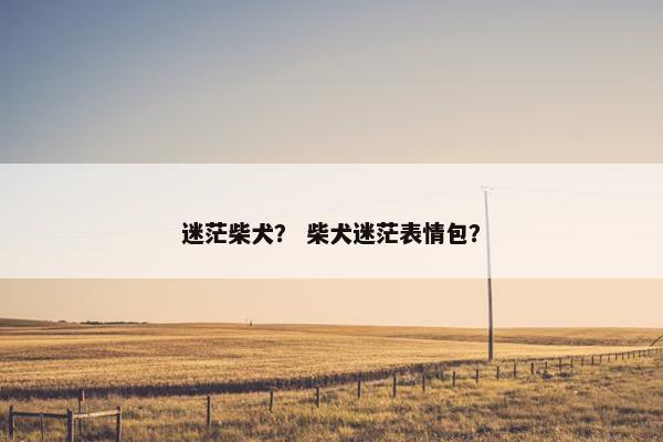 迷茫柴犬？ 柴犬迷茫表情包？