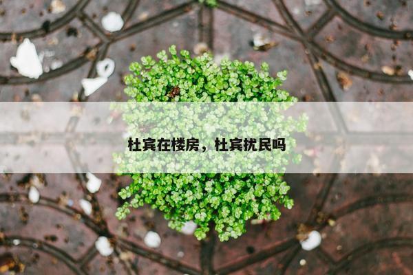 杜宾在楼房，杜宾扰民吗