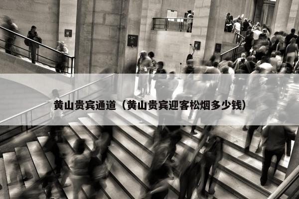 黄山贵宾通道（黄山贵宾迎客松烟多少钱）