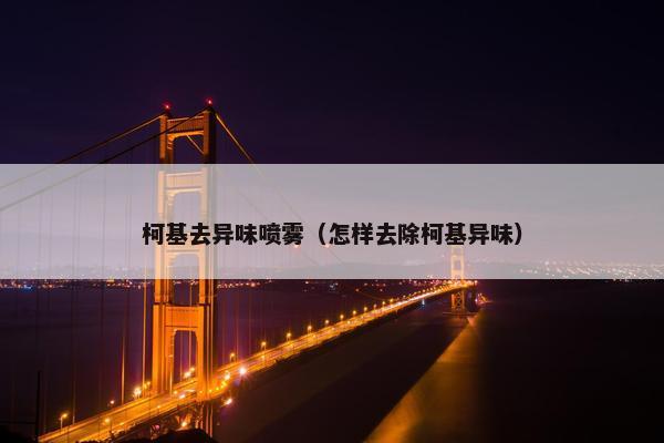 柯基 第9页