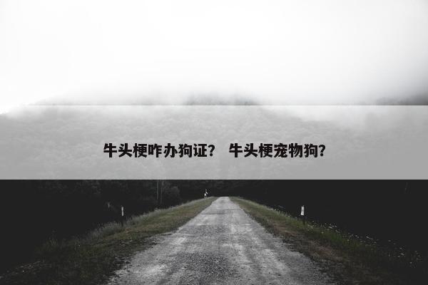 牛头梗咋办狗证? 牛头梗宠物狗?