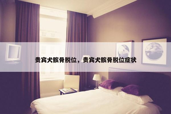 髌骨