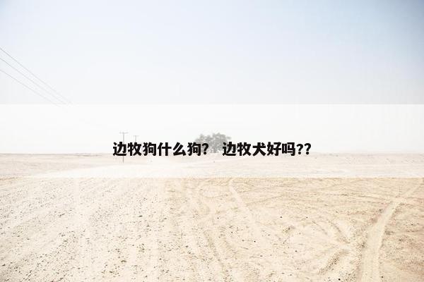 边牧狗什么狗？ 边牧犬好吗?？