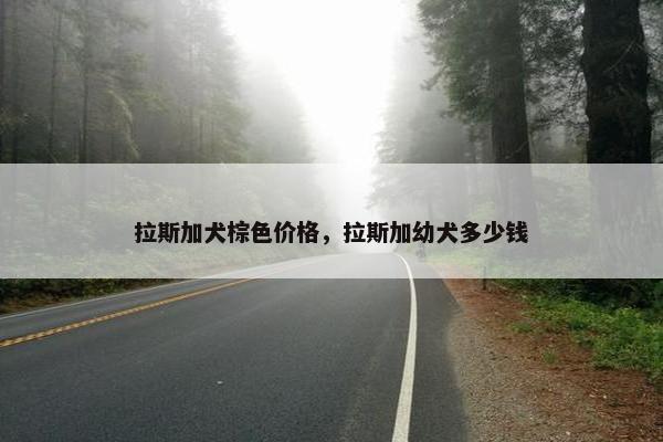 拉斯加犬棕色价格，拉斯加幼犬多少钱
