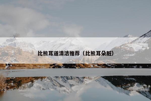 比熊耳道清洁推荐（比熊耳朵脏）