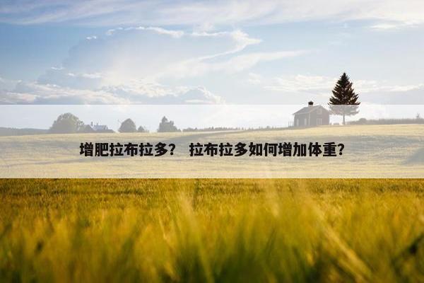增肥拉布拉多？ 拉布拉多如何增加体重？