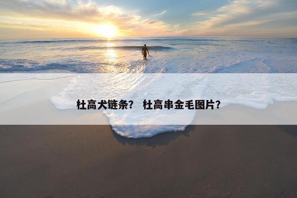 杜高犬链条？ 杜高串金毛图片？