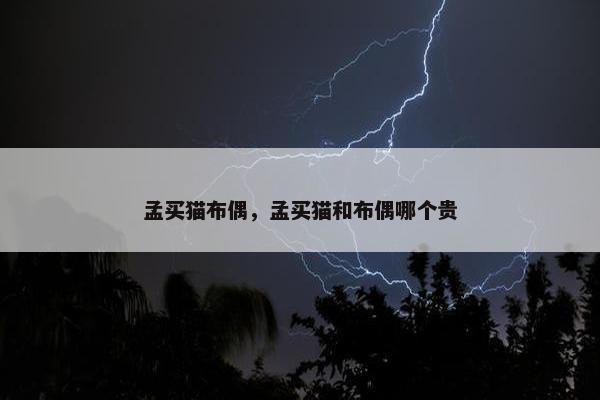 孟买猫布偶，孟买猫和布偶哪个贵