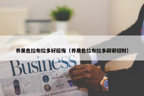 养黑色拉布拉多好后悔（养黑色拉布拉多辟邪招财）