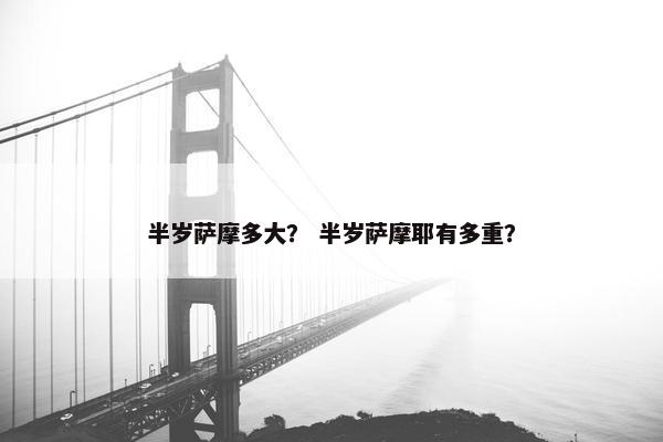 半岁萨摩多大？ 半岁萨摩耶有多重？